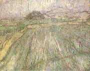 Vincent Van Gogh Wheat Field in Rain (nn04) oil